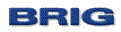 BRIG Logo